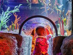 -沈阳海洋探索中心