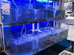 水产区-丽景轩·徽菜馆(文化中路店)