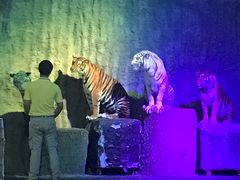 -清迈夜间动物园