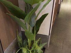 -百富源·海鲜辽菜(浑河堡店)