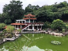 -深圳仙湖植物园