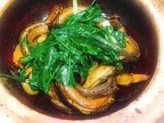 啫啫黄鳝-五邑人家(江门店)