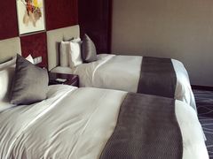 双床-常州环球恐龙城维景国际大酒店