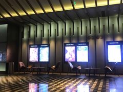 -成都百丽宫影城(LUXE太古里店)