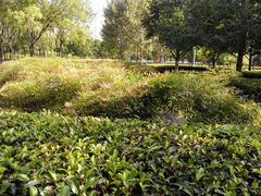 -白塘生态植物园