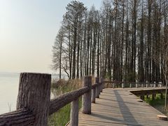 -东湖落雁景区