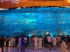 -迪拜水族馆及水下动物园