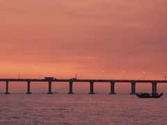 -宝安西湾红树林湿地公园