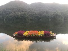 -广州市石门国家森林公园