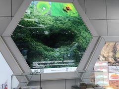 -海口火山口国家地质公园