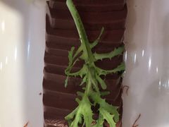 -惠友大虾(太原北街店)