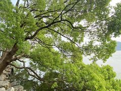 -东湖落雁景区