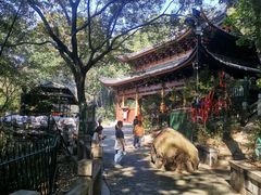 -灵岩山风景区