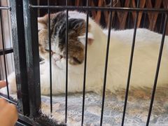 -苏州人家(锦溪镇店)