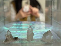 -金泽21世纪美术馆