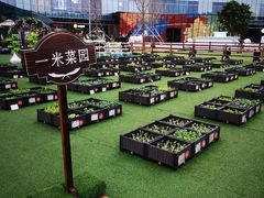 -大族广场Mall&More