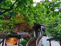 -十八棵（老龙井）御茶园(老龙井店)