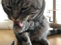 -平行世界·猫咖(首经贸店)