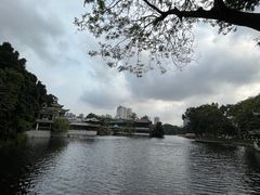 -荔湾湖公园