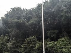 -碧江金楼