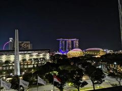 -新加坡瑞士史丹福酒店