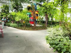 -南宫五洲植物乐园