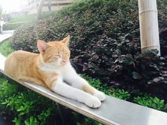 -星巴克(万都店)