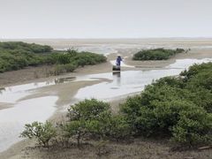 -北海金海湾红树林生态旅游区