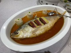 花雕蒸鲥鱼-新光酒家·河豚·海鲜·蟹料理(浦东店)