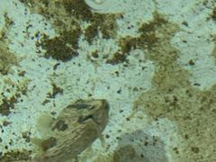 -海南热带海洋学院(三亚校区)