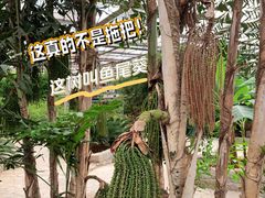 -九天休闲谷