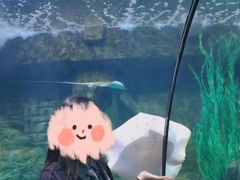 -南昌海洋公园