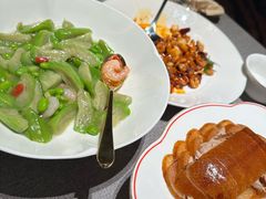 -秀儿四九城·新京菜(亚运村鸟巢店)