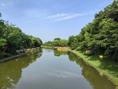 -上海海湾国家森林公园