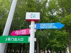 -上海长兴岛郊野公园