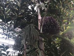 -龙达温泉生态城