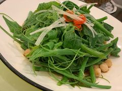 -巴依老爷新疆美食(清华东门店)