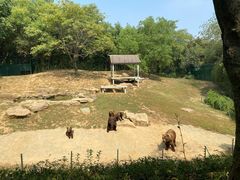 -扬州市茱萸湾风景区