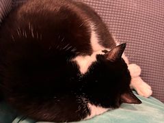 -路易时光(蕴川路店)