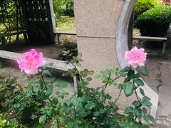 -国家图书馆·古籍馆