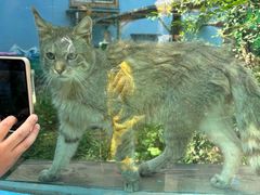 -青藏高原野生动物园