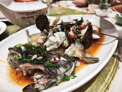 藤椒蒸老虎斑-满乐潮州(深业上城店)