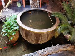 -三道苗苗鱼·美蛙黄辣丁(八里店)