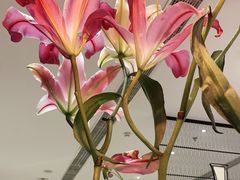 -眉州东坡(远洋未来广场店)