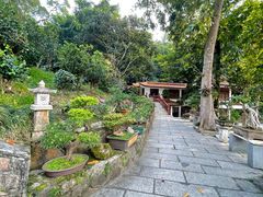 -深圳仙湖植物园