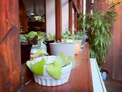 -铃木食堂(帽儿胡同店)