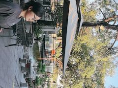 -蘇河湾·新鲁菜·泰山宴(泰山店)