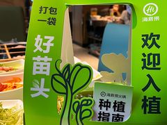 -海底捞火锅(长沙华创国际广场店)