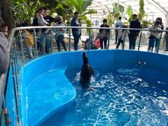 -石家庄市动物园