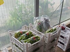 -马陆小张葡萄园农家乐